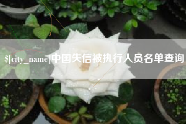海宁中国失信被执行人员名单查询