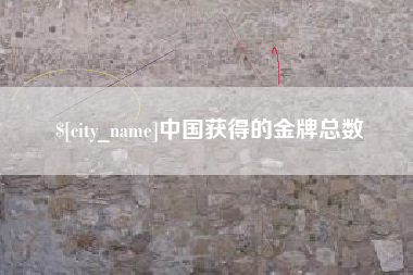 海宁中国获得的金牌总数