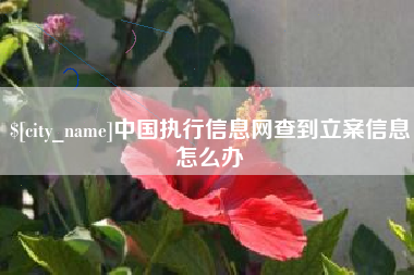 海宁中国执行信息网查到立案信息怎么办
