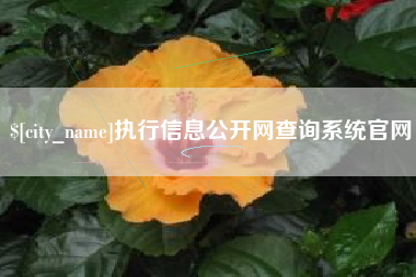 海宁执行信息公开网查询系统官网