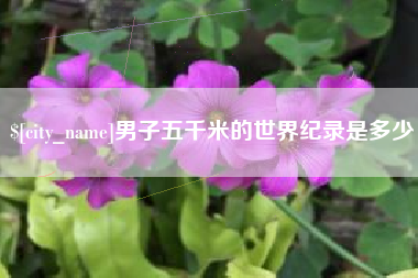 海宁男子五千米的世界纪录是多少