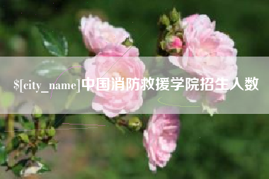 海宁中国消防救援学院招生人数