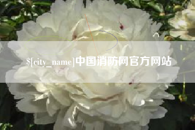 海宁中国消防网官方网站