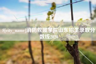 海宁消防救援学院山东招生录取分数线2020