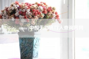 海宁中国失信执行人查询官网