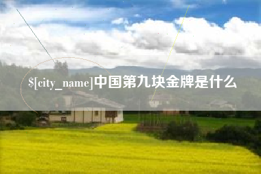 海宁中国第九块金牌是什么