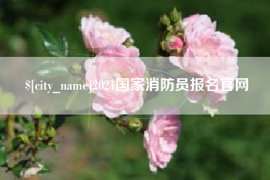 海宁2021国家消防员报名官网