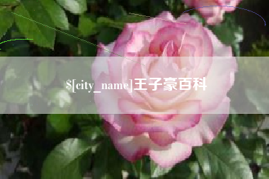 海宁王子豪百科