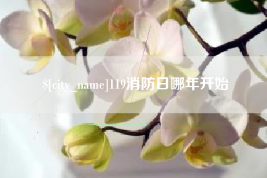 海宁119消防日哪年开始