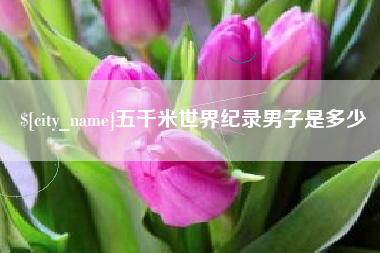 海宁五千米世界纪录男子是多少