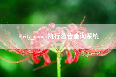 海宁执行公告查询系统