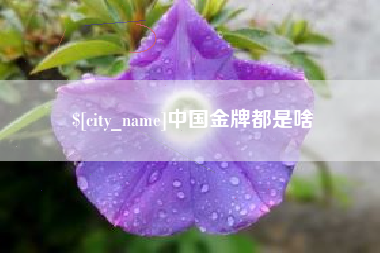 海宁中国金牌都是啥