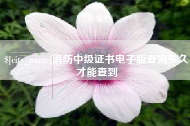 海宁消防中级证书电子版查询多久才能查到