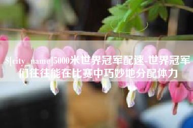 海宁5000米世界冠军配速-世界冠军们往往能在比赛中巧妙地分配体力