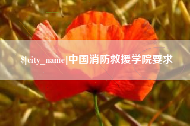 海宁中国消防救援学院要求
