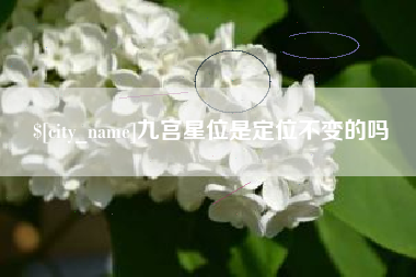 海宁九宫星位是定位不变的吗