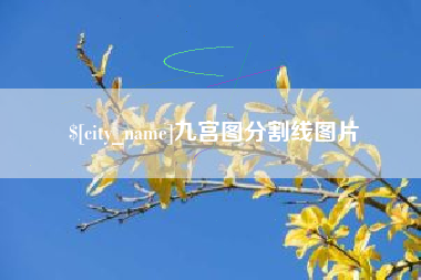 海宁九宫图分割线图片