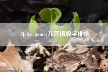 海宁九宫格数字排序