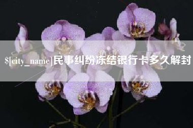 海宁民事纠纷冻结银行卡多久解封