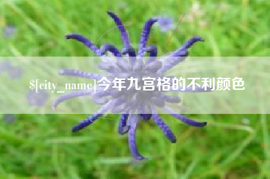 海宁今年九宫格的不利颜色