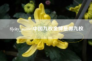 海宁中国九枚金牌是哪九枚