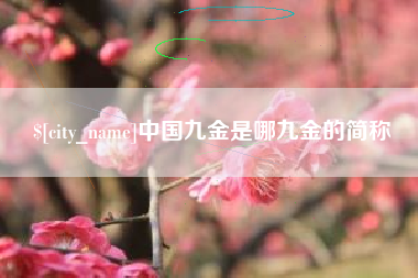 海宁中国九金是哪九金的简称
