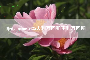 海宁2025大利方向和不利方向图