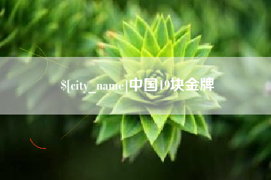 海宁中国19块金牌