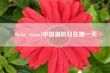 海宁中国消防日在哪一天