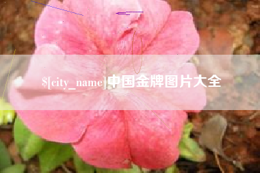 海宁中国金牌图片大全
