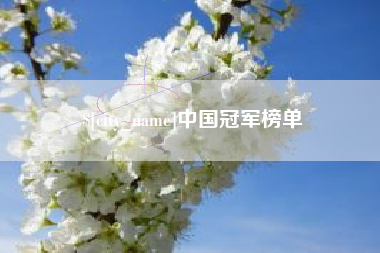 海宁中国冠军榜单