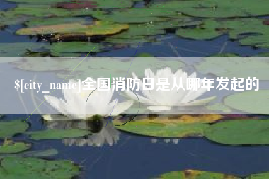 海宁全国消防日是从哪年发起的