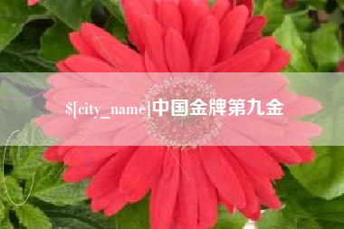 海宁中国金牌第九金
