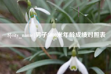 海宁男子5000米年龄成绩对照表