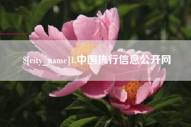 海宁1.中国执行信息公开网