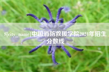 海宁中国消防救援学院2024年招生分数线