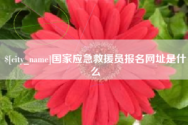 海宁国家应急救援员报名网址是什么