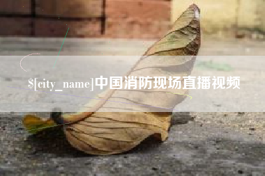 海宁中国消防现场直播视频