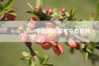海宁中国消防报考中心官网
