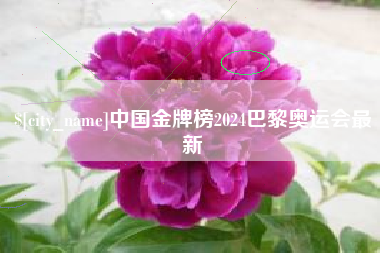 海宁中国金牌榜2024巴黎奥运会最新