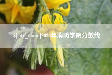 海宁2020年消防学院分数线