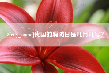 海宁我国的消防日是几月几号？