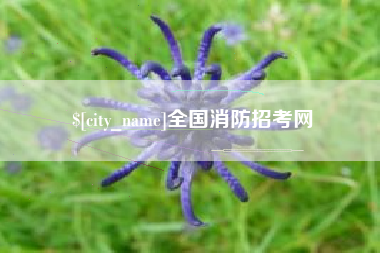 海宁全国消防招考网