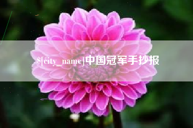 海宁中国冠军手抄报