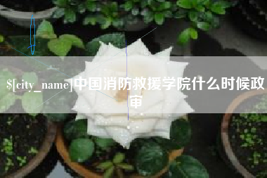 海宁中国消防救援学院什么时候政审