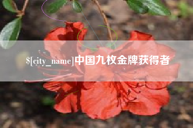 海宁中国九枚金牌获得者