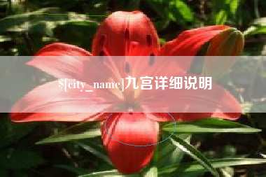 海宁九宫详细说明