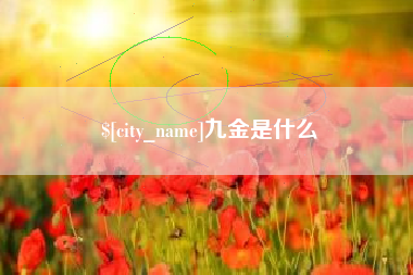 海宁九金是什么