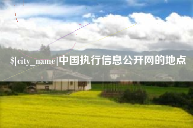 海宁中国执行信息公开网的地点