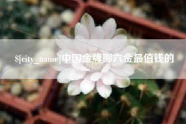 海宁中国金牌哪六金最值钱的